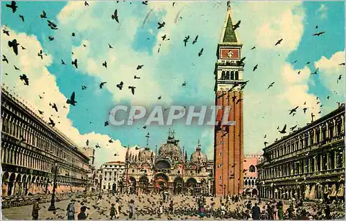 Moderne Karte Venezia Place St Marc et une Volee de Pigeons