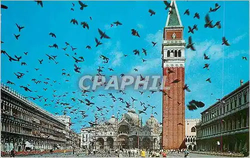 Cartes postales moderne Venezia Place St Marc Vol de Pigeons