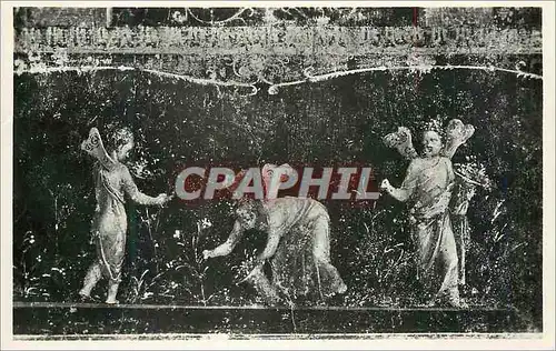 Cartes postales moderne Pompei Casa dei Vettii Pstche