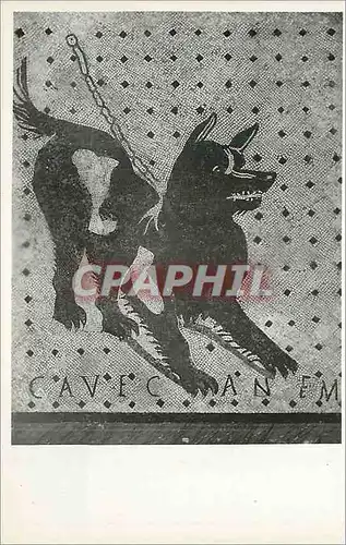 Cartes postales moderne Napoli Museo Nazionale Cane a Catena (Mosalco prov da Pompei)