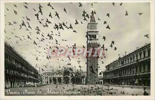 Cartes postales moderne Venise Place St Marc Vol de Pigeons