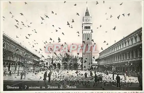 Cartes postales moderne Venezia les Pigeons dans la Place Saint Marc