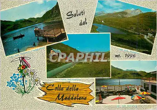 Cartes postales moderne Saluti dal Colle della Maddalena