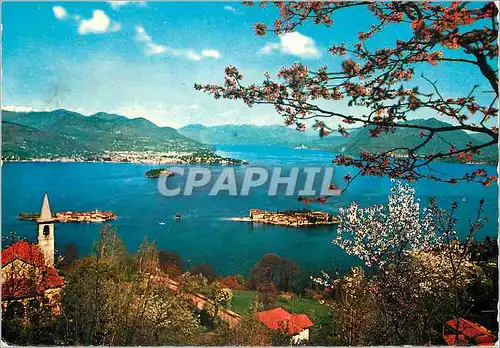 Cartes postales moderne Lago Maggiore le Isole Borromeo
