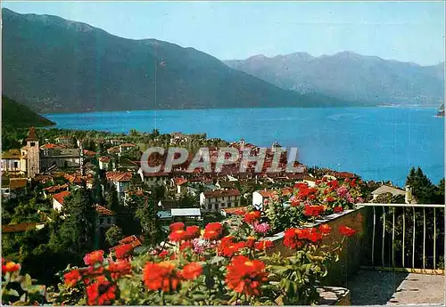 Cartes postales moderne Cannovio (Lac Majeur) vue Generale