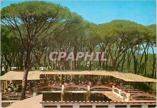 Cartes postales moderne (Riviera Etrusque) Village Francais