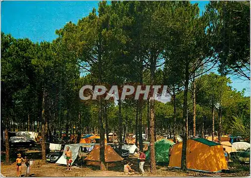 Cartes postales moderne Marina Romeo (Ravenna) Camping