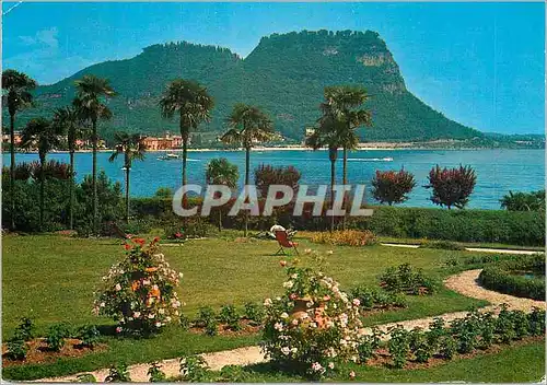 Cartes postales moderne Lago di Garda Gardasee Garda