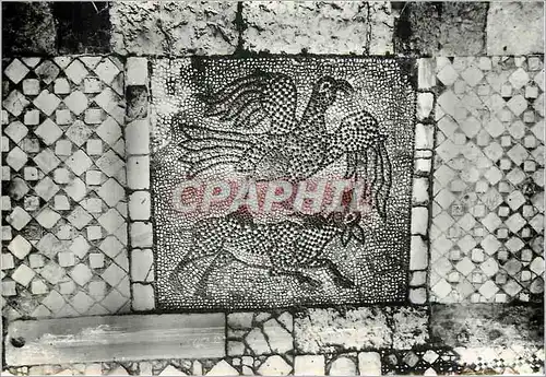 Cartes postales moderne Murano S Donato Pavimento Bizantino (l'Aquila e l'Agnello) sec XII