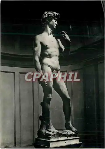 Cartes postales moderne Firenze Le David