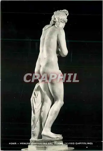 Cartes postales moderne Roma Venere Capitolina dal Dorso (Museo Capitolino)