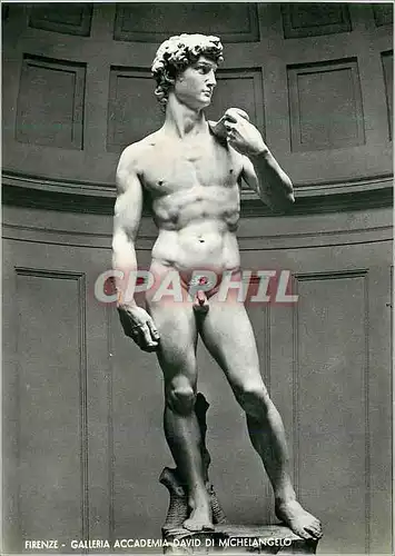 Cartes postales moderne Firenze Galleria Accademia David di Michelangelo
