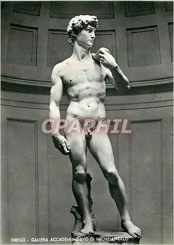 Moderne Karte Firenze Galleria Accademia David di Michelangelo