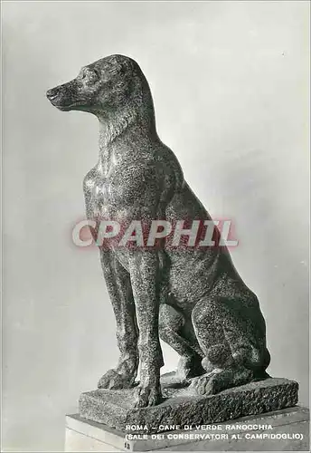 Cartes postales moderne Roma Cane di Verde Ranocchia (Sale dei Conservatori al Campidoglio)