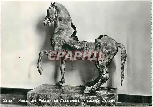 Cartes postales moderne Roma Museo del Palazzo dei Conservatori Cavallo Bronzeo