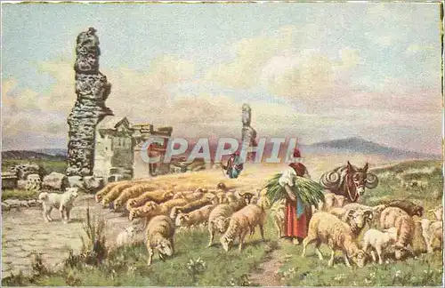 Moderne Karte Roma Capmpagna Romana Bergere Moutons Folklore