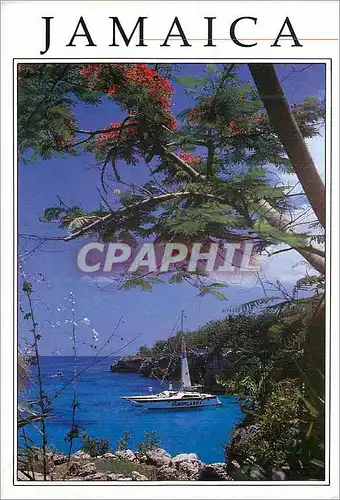 Cartes postales moderne Jamaica