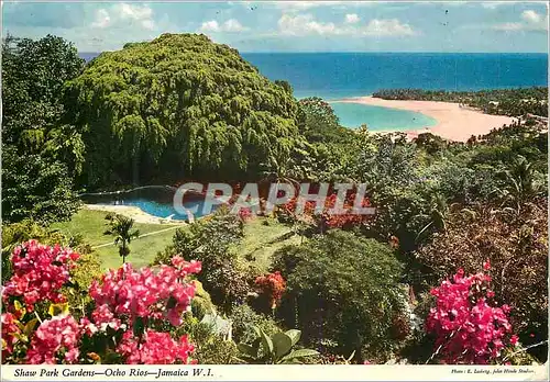 Cartes postales moderne Jamaica WI Shaw Gardens Ocho Rios