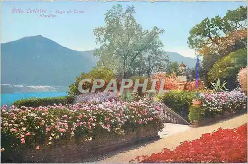 Cartes postales Villa Carlotta Lago di Como Giardino