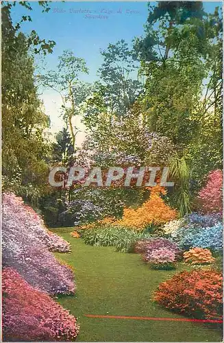 Cartes postales Lago di Como Villa Carlotta Giardino