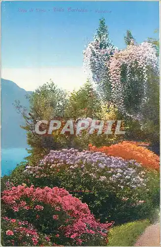 Cartes postales Lago di Como Villa Carlotta Giardino