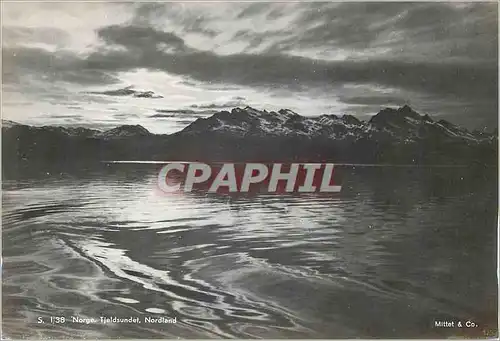 Cartes postales moderne Norge Tjeidsundel Nordland