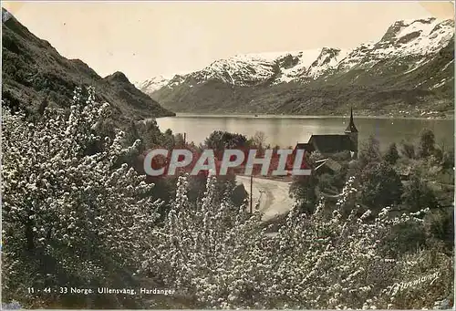 Cartes postales moderne Norge Ullensvang Hardanger