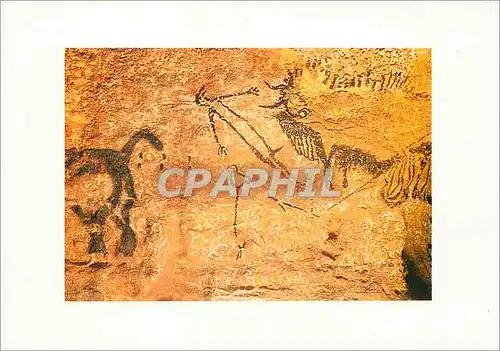 Cartes postales moderne Dordogne (Perigord) Fac Simile de la Scene du Puits de la Grotte de Lascaux presente dans le mus