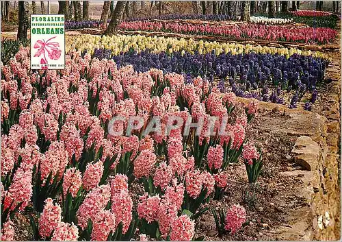 Cartes postales moderne Parc Floral Orleans la Source Floralies Internationales Avril a Octobre 1967