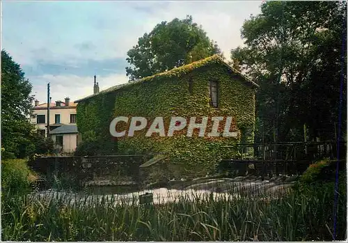 Cartes postales moderne Entre Cerizay (Deux Sevres) et Saint Mesmin (Vendee) Le Moulin de la Branle sur la Sevre Nantais