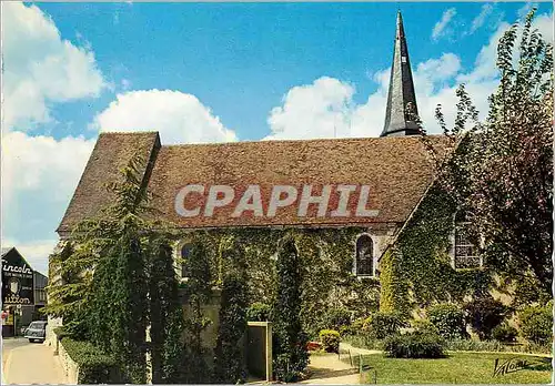 Cartes postales moderne Luce (Eure et Loir) L'Eglise et son Jardin