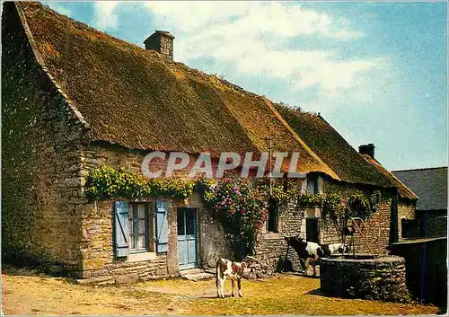 Cartes postales moderne Chaumieres de Bretagne Vaches