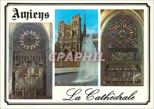 Cartes postales moderne Amiens (Somme) Couleurs et Lumiere de France La Cathedrale Les Orgues Vue Exterieure de la Cathe