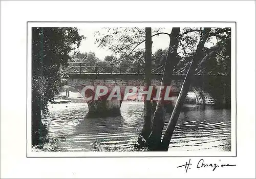 Cartes postales moderne Biches (Nievre) Site de Fleury Le Pont sur l'Aron