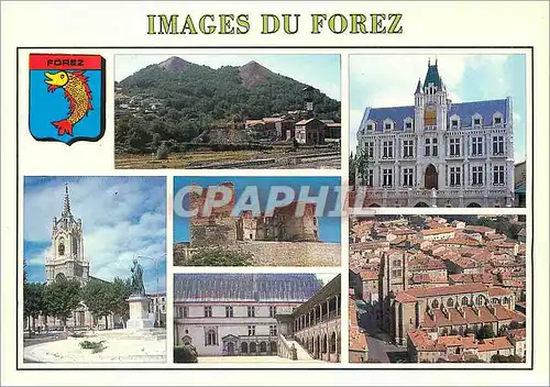 Cartes postales moderne Images de Forez Les Crassiers de St Etienne St Galmier Fleurs Montrond La Bastie d'Urte Montbris