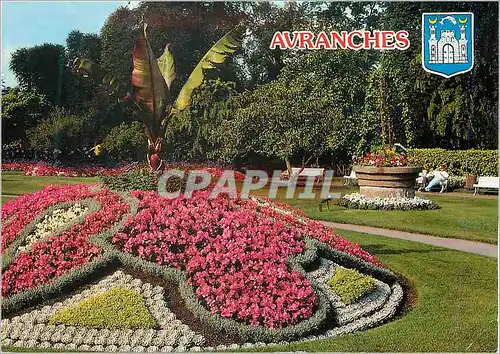 Cartes postales moderne Avranches (Manche) Le Jardin Public