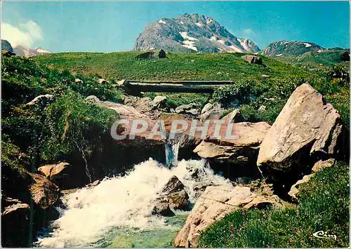 Cartes postales moderne Nos Belles Alpes Descendant de la Montagne Le Torrent a l'Eau Claire et Limpidice