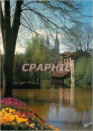 Cartes postales moderne Les Merveilles de Chartres (Eure et Loir) Les Bords de l'Eure et les Fleches de la Cathedrale (X