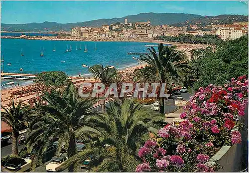 Moderne Karte Cannes Cote d'Azur French Riviera La Croisette et les Plages Le Suquet