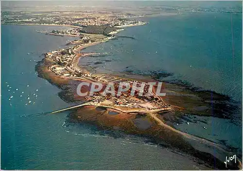 Cartes postales moderne Fouras (Charente Maritime) Couleurs et Lumiere de France La Pointe de la Fumee