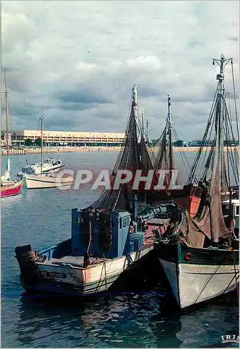 Cartes postales moderne Royan (Charente Maritime) Cote de Beaute Le Port au fond le Front de mer Bateaux de peche