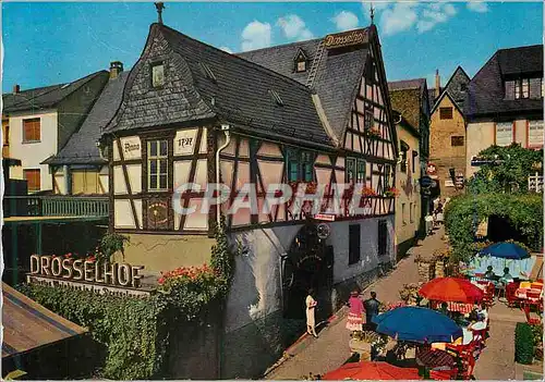 Cartes postales moderne Drosselhof Rudeslheim