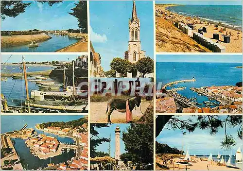 Cartes postales moderne L'Ile de Re (Charente Maritime) Ane Donkey