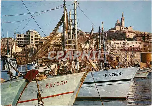 Cartes postales moderne Marseille Le Carrefour du Monde Le Vieux Pont Coin des Chalutiers Dans le Fond Basilique de Notr