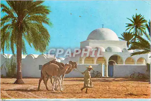 Moderne Karte Jerba La Mosquee de Mahboubine