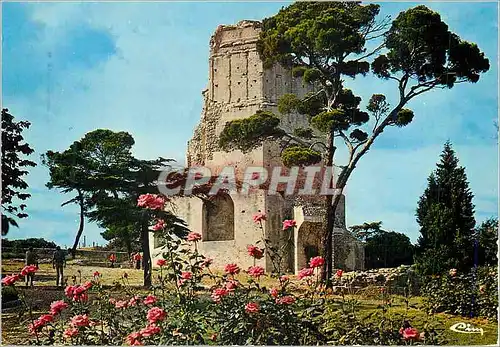 Cartes postales moderne Nimes (Gard) La Tour Magne Monument Romain datant de la fin du Ier Siecle avant JC