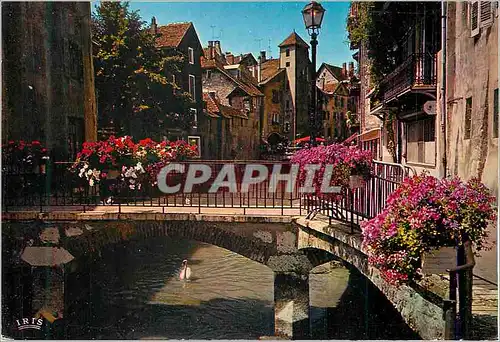 Cartes postales moderne Annecy (Haute Savoie) La Venise Savoyarde Les Vieux Quartiers Canal du Thiou et les Quais