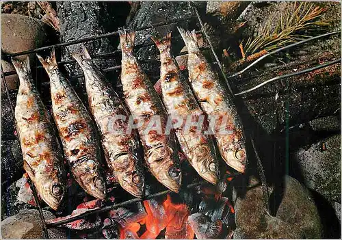 Moderne Karte Platos Tipicos de Espana Sardines Grillees