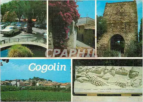 Cartes postales moderne Souvenir de Cogolin Lumiere et Beaute de la Cote d'Azur
