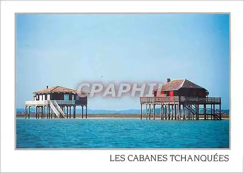 Cartes postales moderne Bassin d'Arcachon Les Cabanes Tchanquees a l'Ile aux Oiseaux
